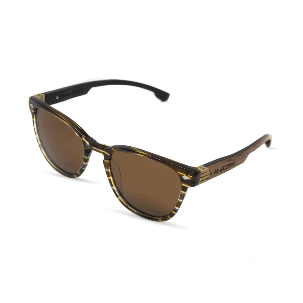 Oyster Aqua - משקפי שמש מאצטט בצבע חום וזרועות עץ בצבע חום בתוספת מתכת